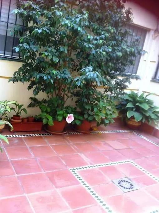 Apartamento Apartamento Paola El Puerto de Santa María 0*,  España